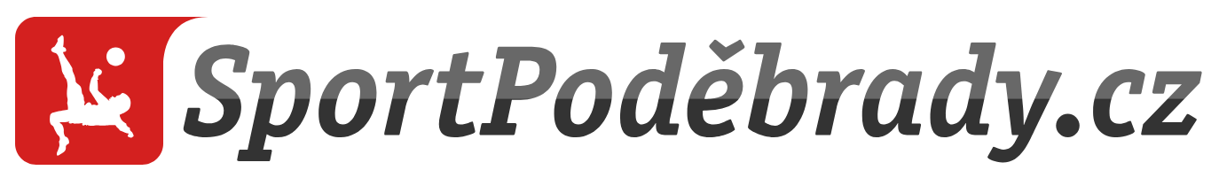 Primary Raster logo